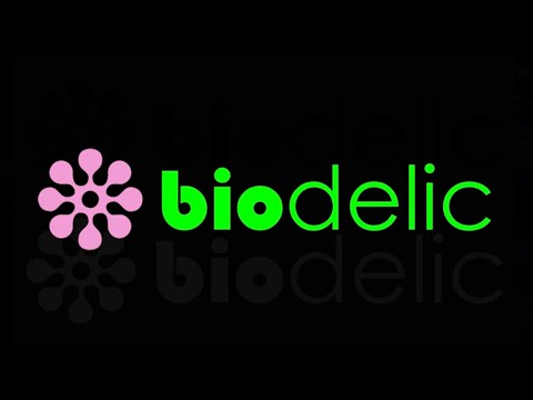 Biodelic tecnologia para eventos, Led, Luz, Estrutura