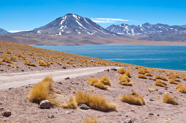 Atacama-passeios-Lagunas-Altiplanicas