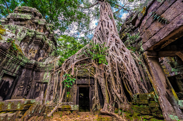 lua-de-mel-teresa-perez-Cambodia-Passeios_Prohm Temple-Angkor-Cambodia