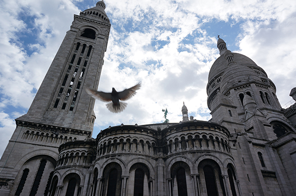 The moment of a pigeon flying in front of the Montmartre, France