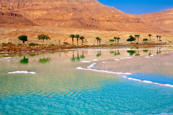 Litoral do Mar Morto com palmeiras e montanhas ao fundo