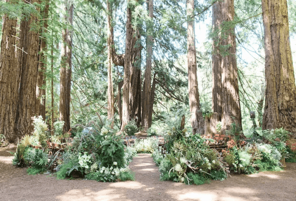 decoração de casamento greenery, decoração de casamento botânica, decoração de casamento com folhagem, decoração de casamento verde, caminho da noiva, altar de casamento, altar circular, altar geométrico