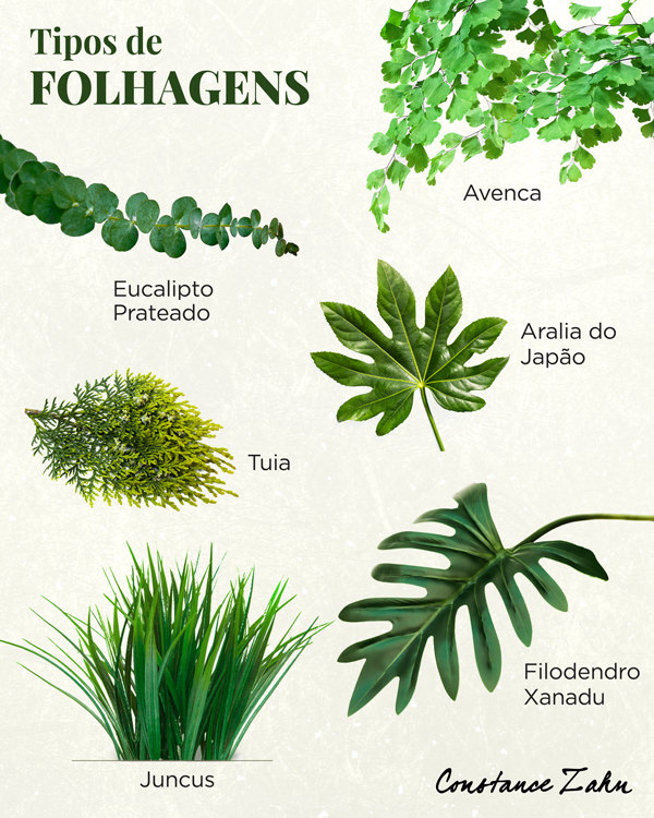 decoração de casamento greenery, decoração de casamento botânica, decoração de casamento com folhagem, decoração de casamento verde, tipos de folhagem, folhagem