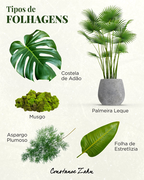 decoração de casamento greenery, decoração de casamento botânica, decoração de casamento com folhagem, decoração de casamento verde, tipos de folhagem, folhagem