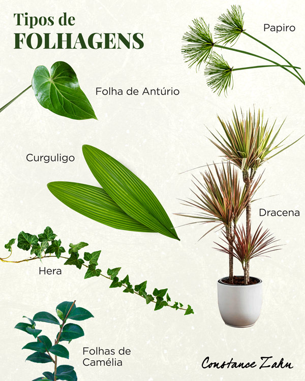 decoração de casamento greenery, decoração de casamento botânica, decoração de casamento com folhagem, decoração de casamento verde, tipos de folhagem, folhagem