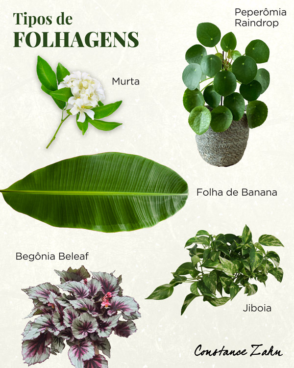 decoração de casamento greenery, decoração de casamento botânica, decoração de casamento com folhagem, decoração de casamento verde, tipos de folhagem, folhagem