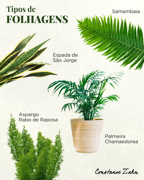 decoração de casamento greenery, decoração de casamento botânica, decoração de casamento com folhagem, decoração de casamento verde, tipos de folhagem, folhagem