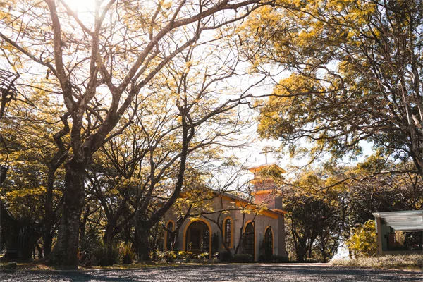 FAZENDA CAPELA DO BOSQUE