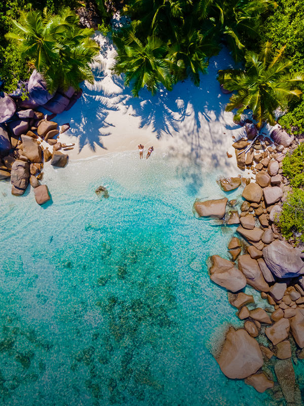 Guia de Fornecedores CZ - Lua de Mel