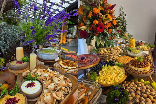 CHEZ COX GASTRONOMIA